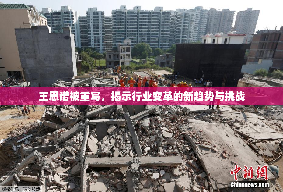 王思诺被重写，揭示行业变革的新趋势与挑战