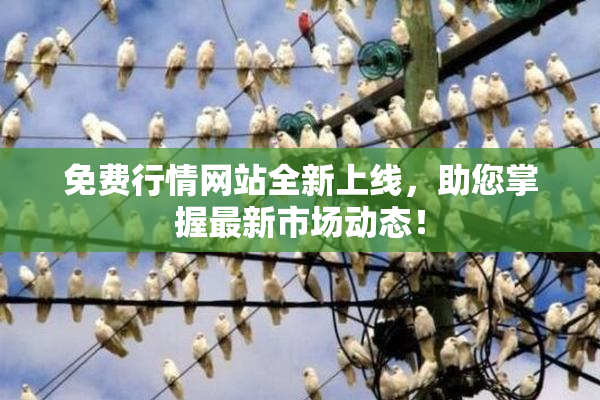 免费行情网站全新上线，助您掌握最新市场动态！