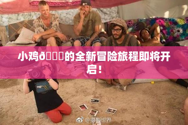 小鸡🐔的全新冒险旅程即将开启！