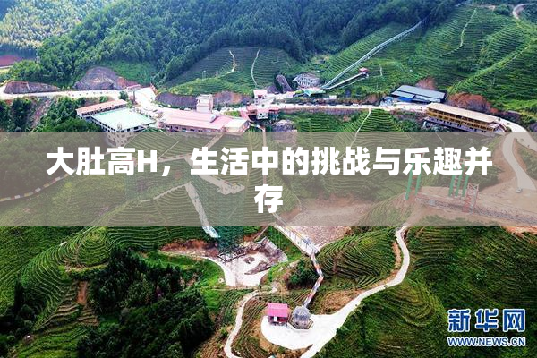 大肚高H，生活中的挑战与乐趣并存