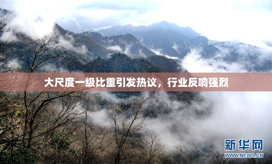 大尺度一级比重引发热议，行业反响强烈
