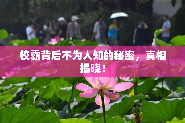 校霸背后不为人知的秘密，真相揭晓！