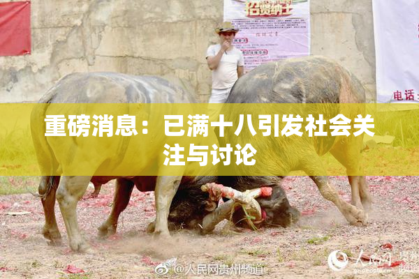 重磅消息：已满十八引发社会关注与讨论