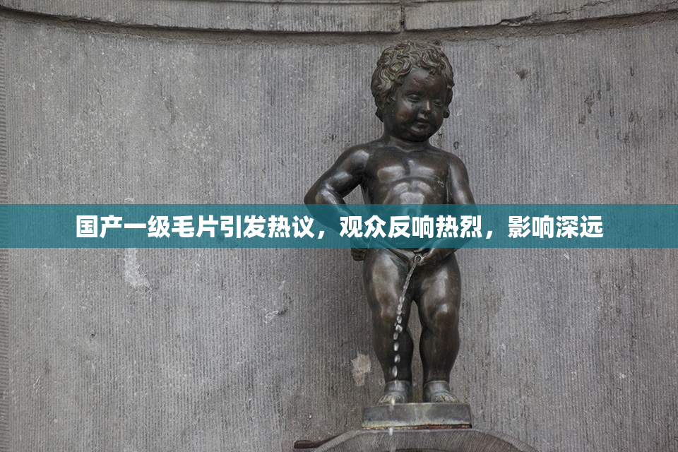 国产一级毛片引发热议，观众反响热烈，影响深远