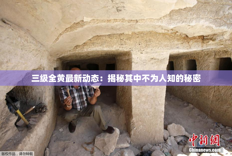 三级全黄最新动态：揭秘其中不为人知的秘密