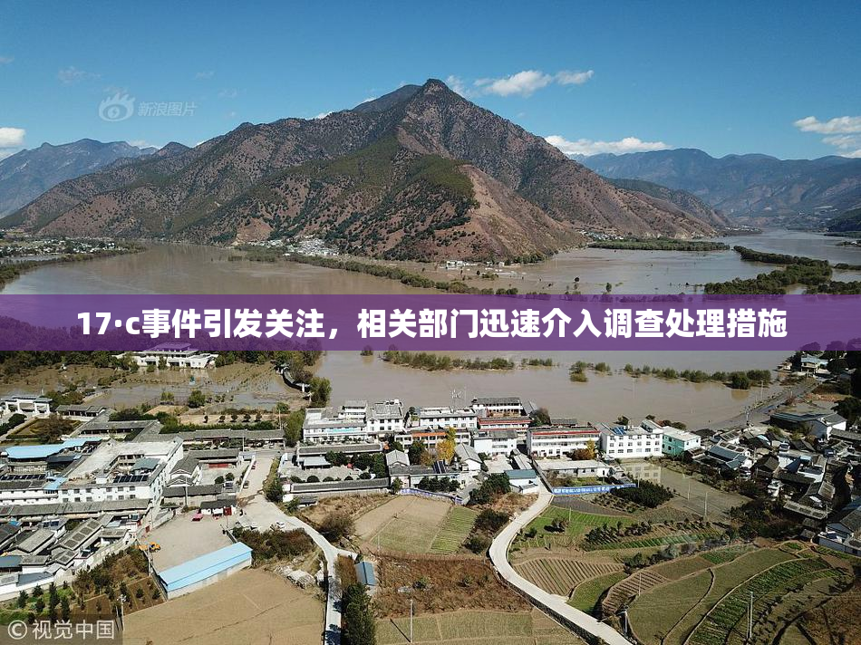 17·c事件引发关注，相关部门迅速介入调查处理措施