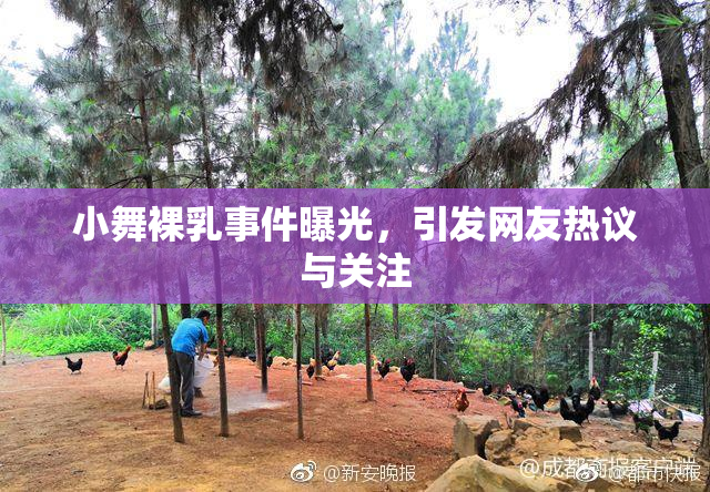 小舞裸乳事件曝光，引发网友热议与关注