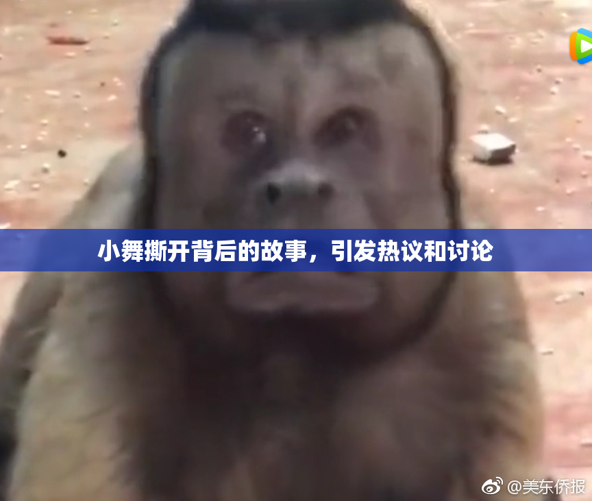 小舞撕开背后的故事，引发热议和讨论