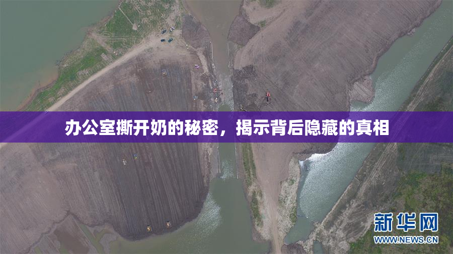办公室撕开奶的秘密，揭示背后隐藏的真相
