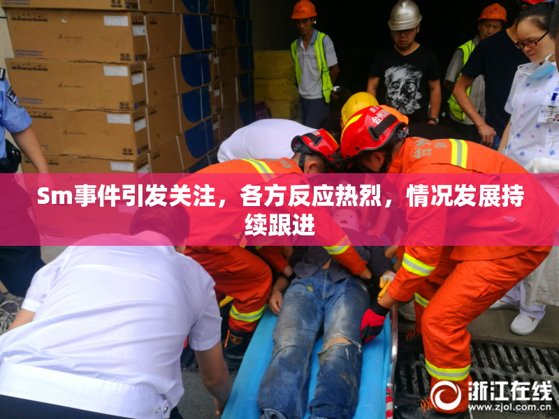 Sm事件引发关注，各方反应热烈，情况发展持续跟进