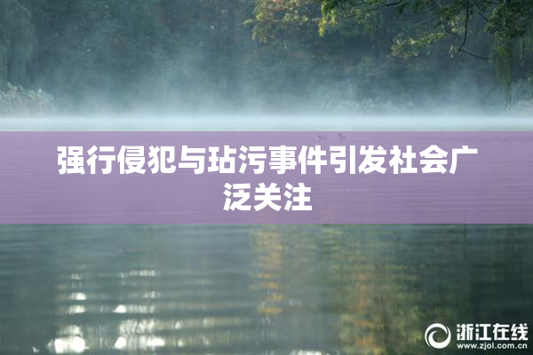强行侵犯与玷污事件引发社会广泛关注