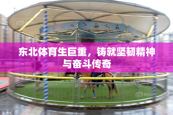 东北体育生巨重，铸就坚韧精神与奋斗传奇