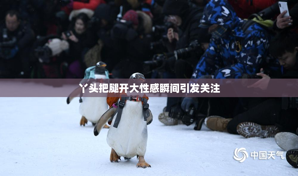 丫头把腿开大性感瞬间引发关注