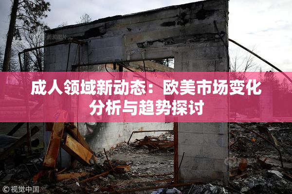 成人领域新动态：欧美市场变化分析与趋势探讨
