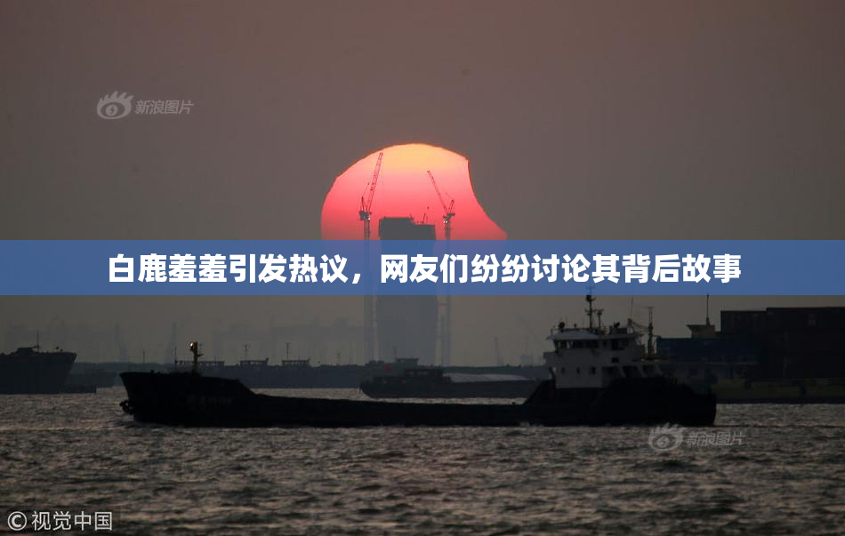白鹿羞羞引发热议，网友们纷纷讨论其背后故事