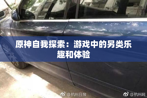 原神自我探索：游戏中的另类乐趣和体验