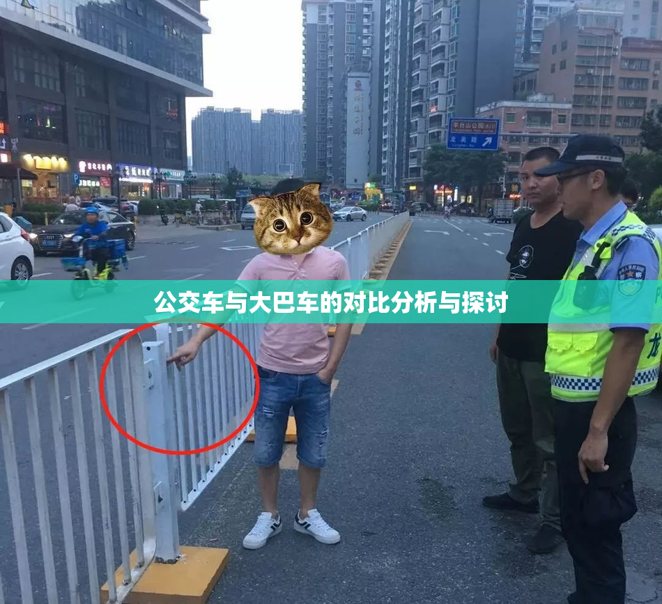 公交车与大巴车的对比分析与探讨