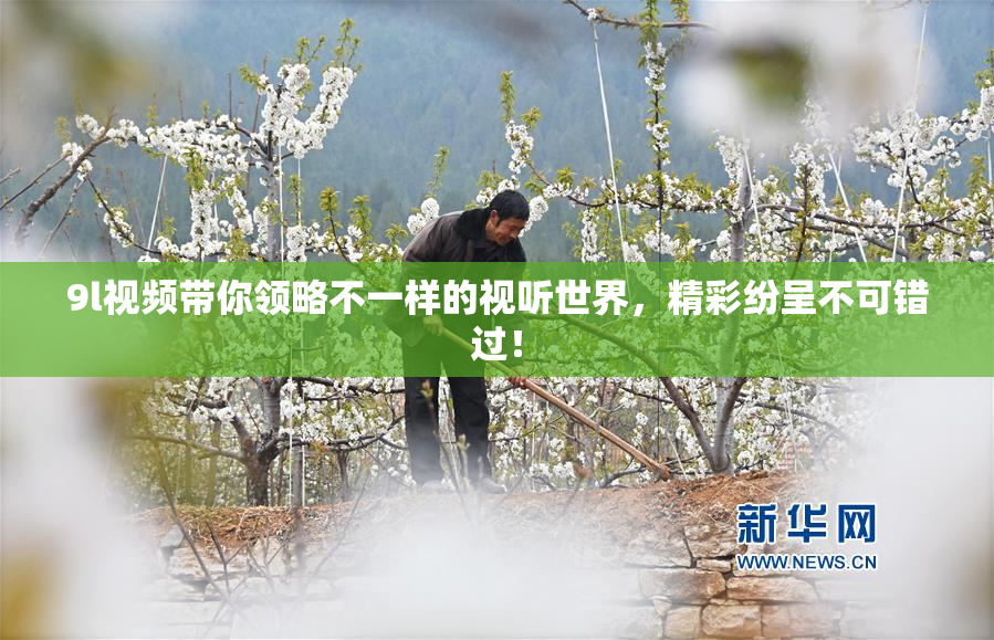 9l视频带你领略不一样的视听世界，精彩纷呈不可错过！