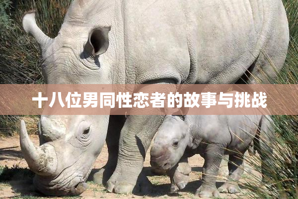 十八位男同性恋者的故事与挑战