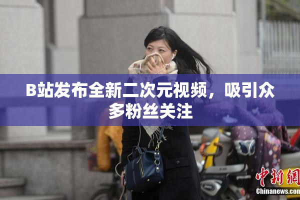 B站发布全新二次元视频，吸引众多粉丝关注