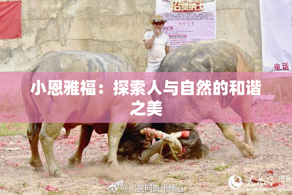 小恩雅福：探索人与自然的和谐之美