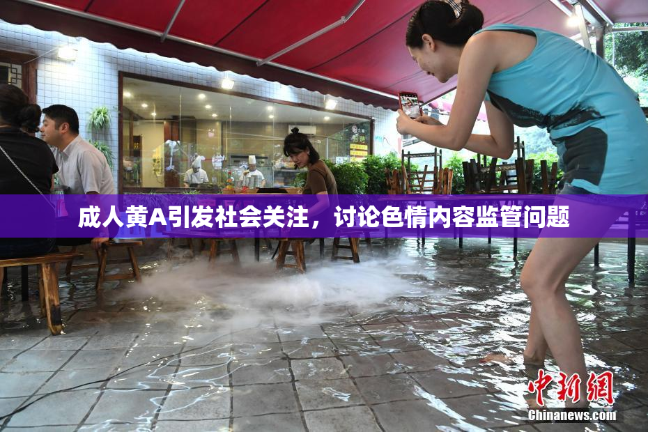 成人黄A引发社会关注，讨论色情内容监管问题