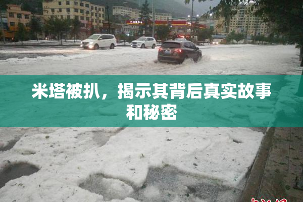 米塔被扒，揭示其背后真实故事和秘密