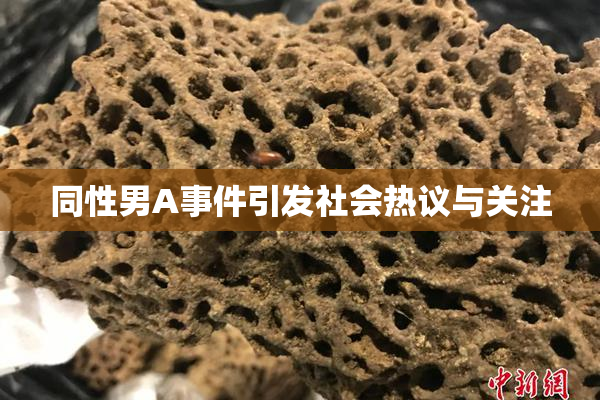 同性男A事件引发社会热议与关注