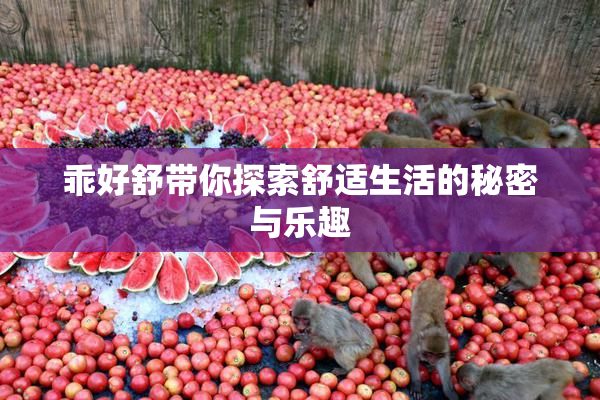 乖好舒带你探索舒适生活的秘密与乐趣
