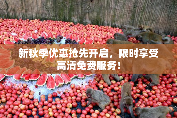 新秋季优惠抢先开启，限时享受高清免费服务！
