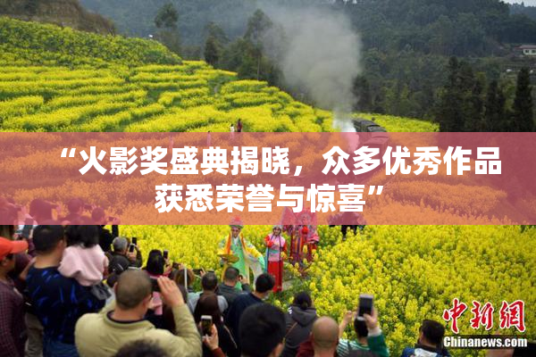 “火影奖盛典揭晓，众多优秀作品获悉荣誉与惊喜”