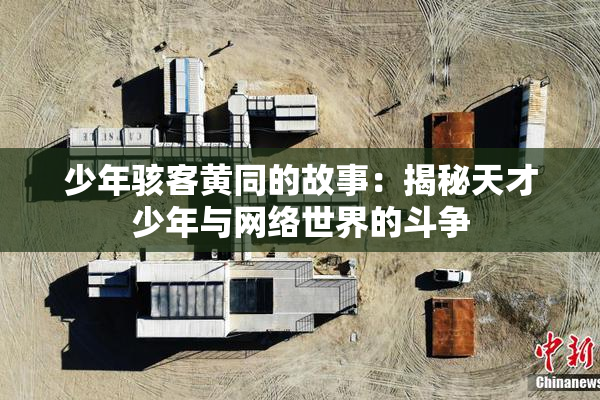 少年骇客黄同的故事：揭秘天才少年与网络世界的斗争