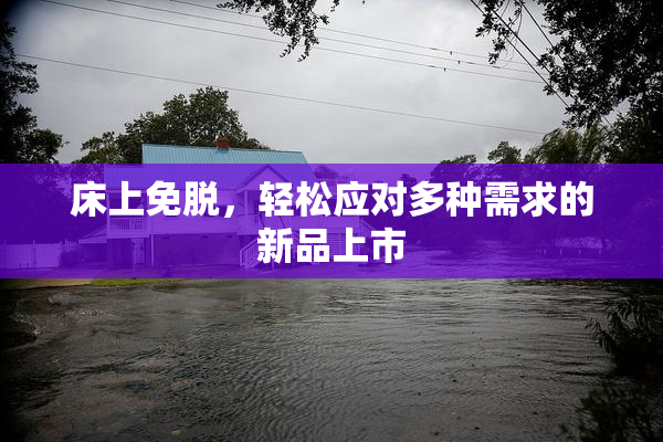 床上免脱，轻松应对多种需求的新品上市