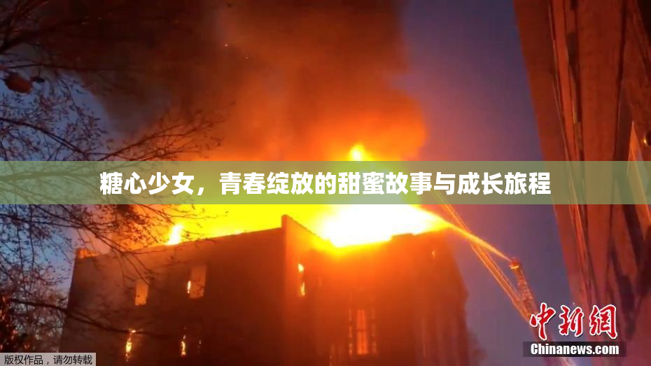 糖心少女，青春绽放的甜蜜故事与成长旅程