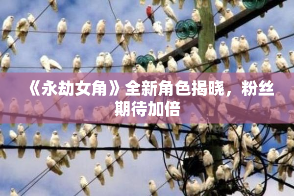 《永劫女角》全新角色揭晓，粉丝期待加倍