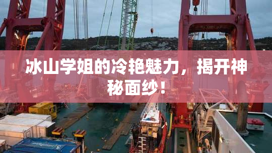 冰山学姐的冷艳魅力，揭开神秘面纱！