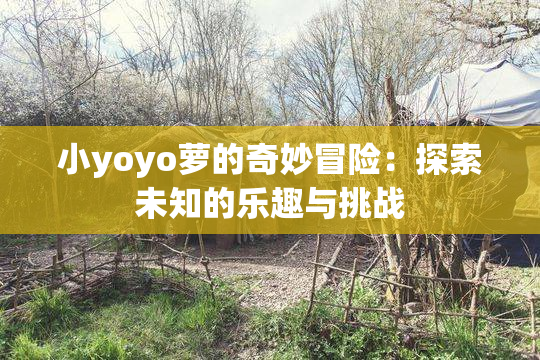 小yoyo萝的奇妙冒险：探索未知的乐趣与挑战
