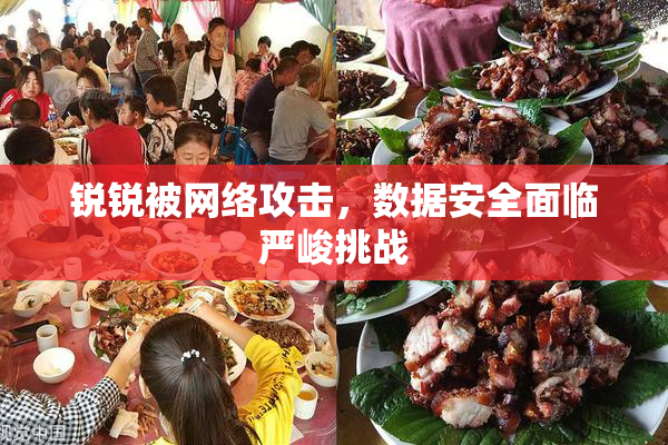 锐锐被网络攻击，数据安全面临严峻挑战