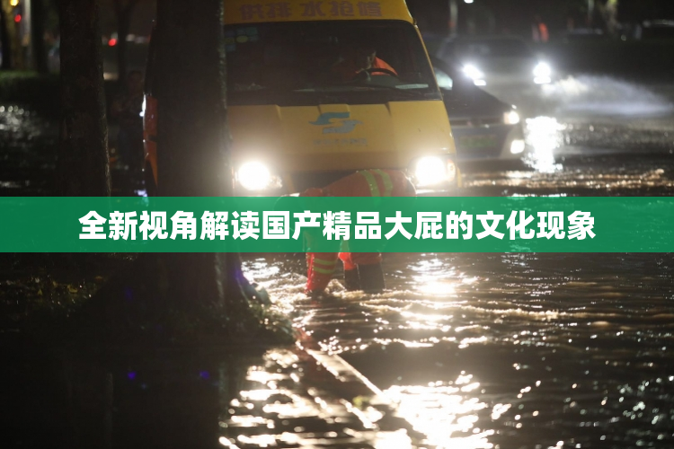 全新视角解读国产精品大屁的文化现象