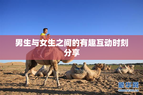 男生与女生之间的有趣互动时刻分享