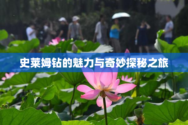 史莱姆钻的魅力与奇妙探秘之旅