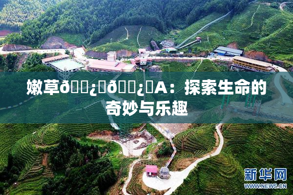 嫩草🌿‌🌿‌A：探索生命的奇妙与乐趣
