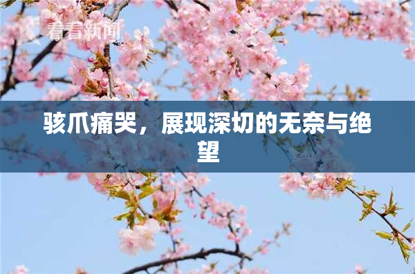骇爪痛哭，展现深切的无奈与绝望