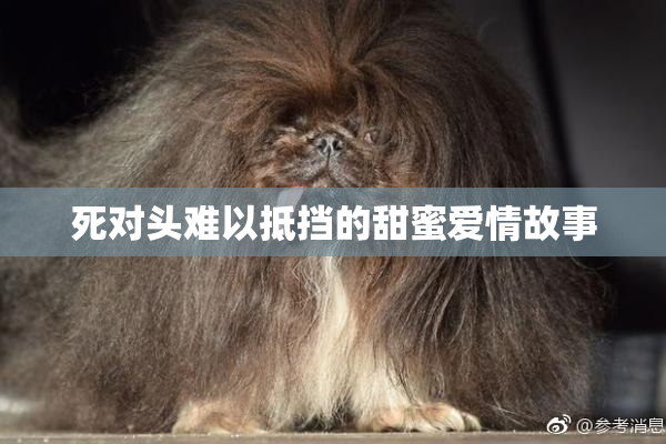 死对头难以抵挡的甜蜜爱情故事