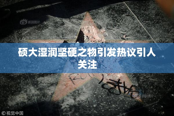 硕大湿润坚硬之物引发热议引人关注
