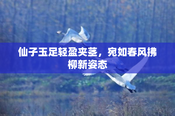 仙子玉足轻盈夹茎，宛如春风拂柳新姿态