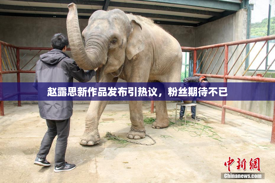 赵露思新作品发布引热议，粉丝期待不已