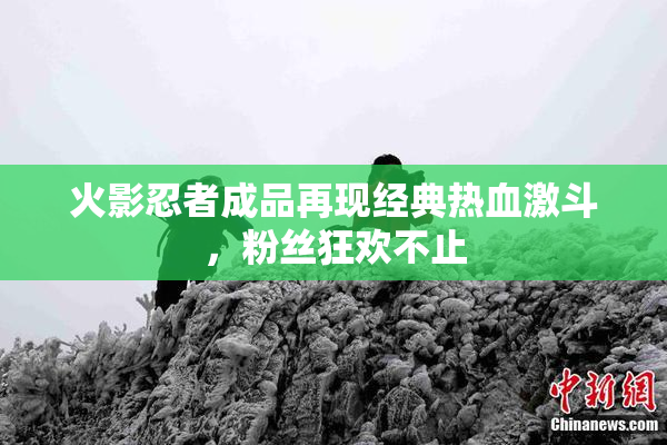 火影忍者成品再现经典热血激斗，粉丝狂欢不止