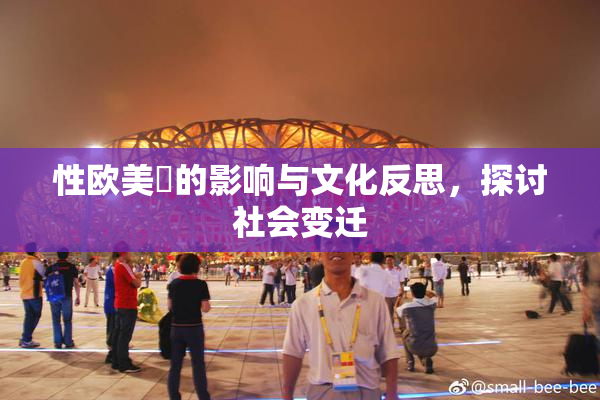 性欧美婬的影响与文化反思，探讨社会变迁