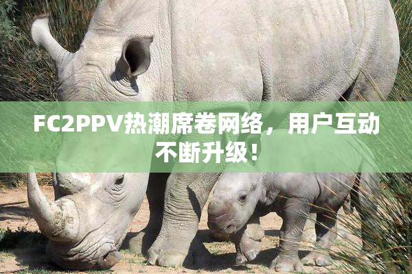 FC2PPV热潮席卷网络，用户互动不断升级！